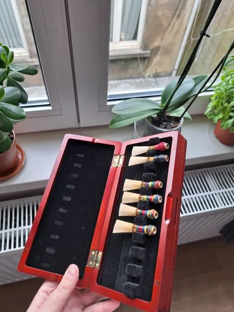 1pcs Bassoon Reed Storage Case - Charango 10 String review and price
