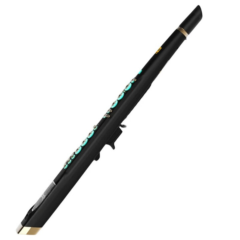 Musical Instrument You Blow - C20 true sampling domestic high-end intelligent