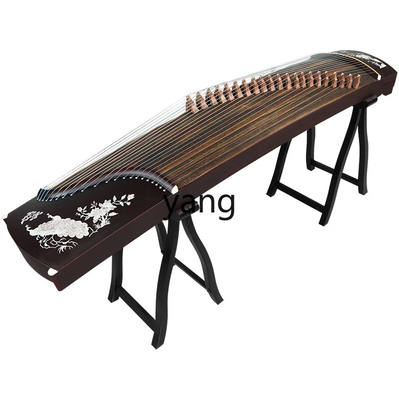 LT test entry level 10 playing - Musical Instrument Guzheng review and price