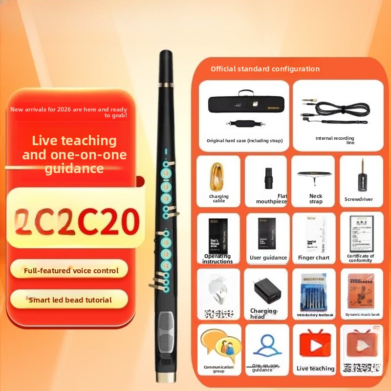 C20 true sampling domestic hig - Musical Instrument You Blow review and price