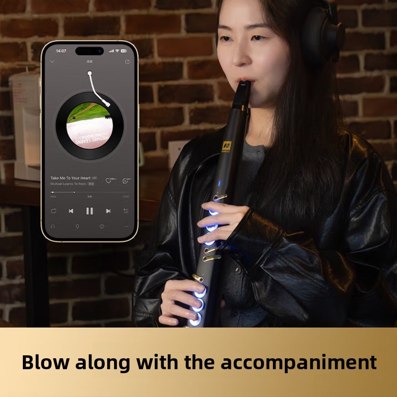 C20 true sampling domestic hig - Musical Instrument You Blow review and price