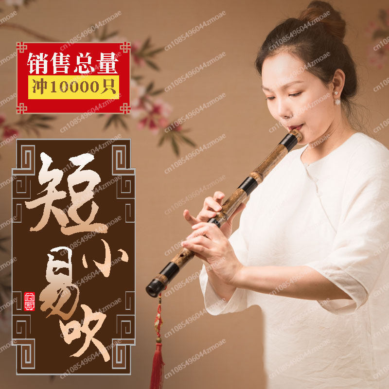 Professional play hole flute o - Musical Instrument You Blow review and price
