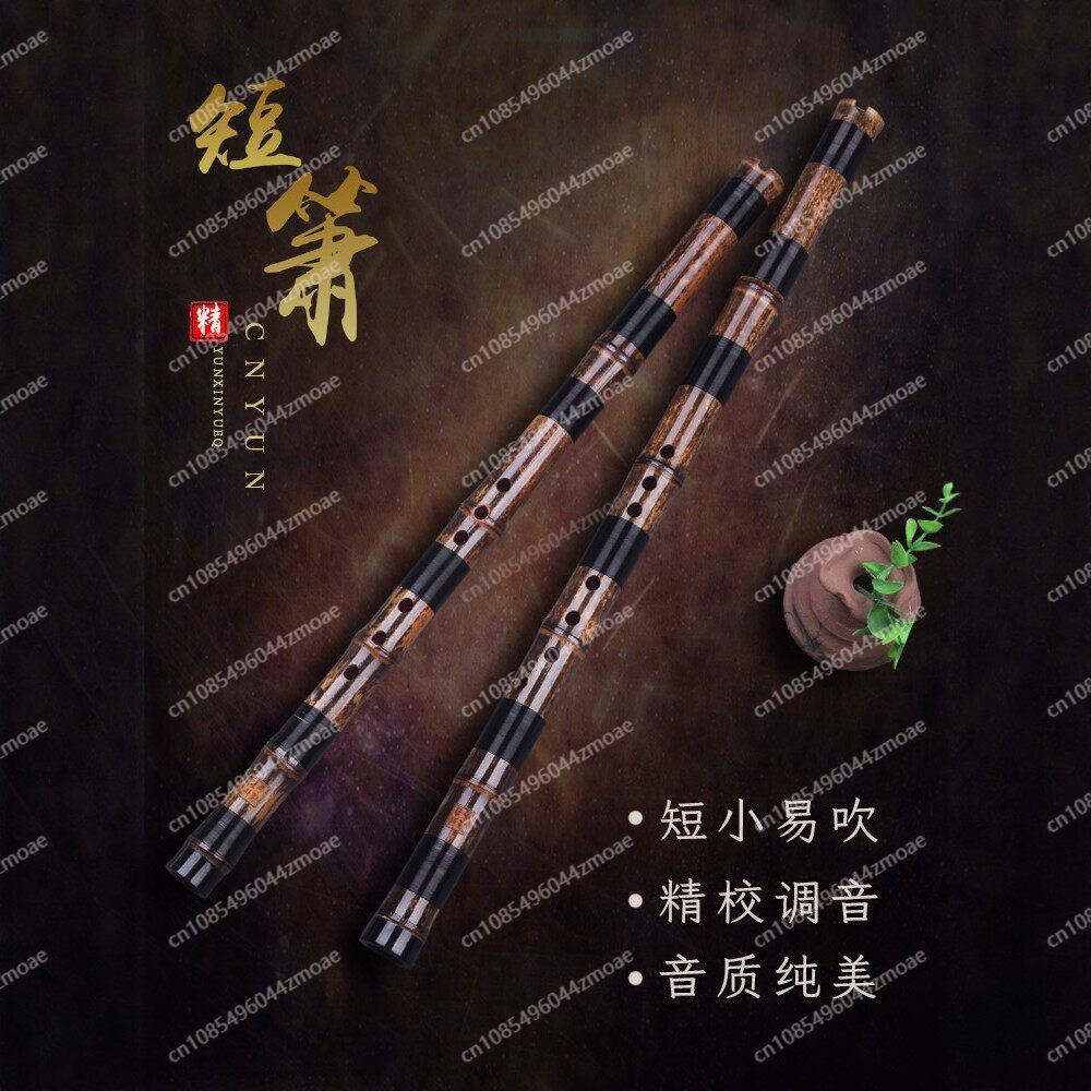 Professional play hole flute o - Musical Instrument You Blow review and price