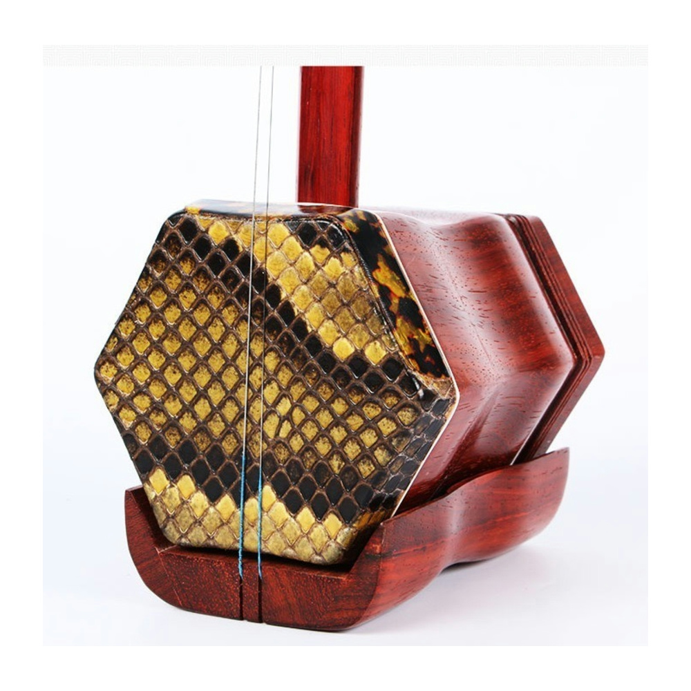 Traditional Chinese 2-String E - Musical Instrument Bassoon review and price