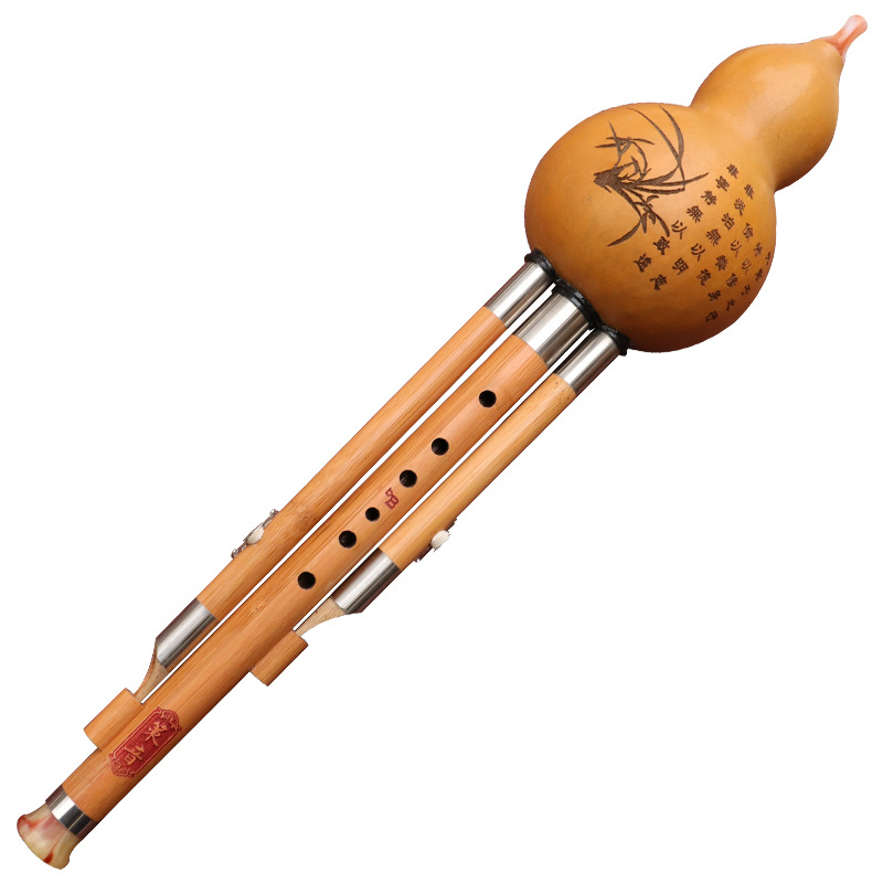 Nanzhu Gourd Silk Musical Inst - Musical Instrument You Blow review and price