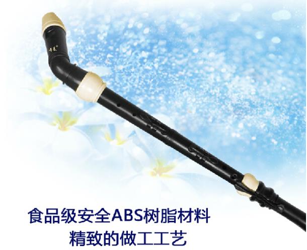 Professional 8 Holes Baroque B - Musical Instrument In Chinese review and price