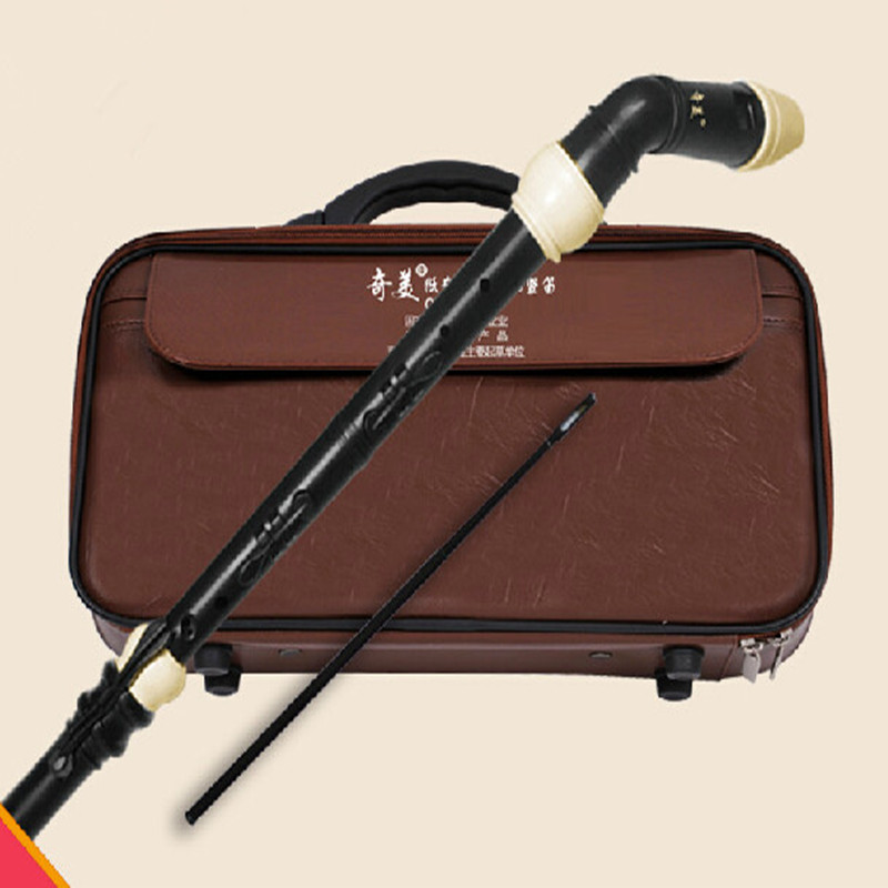 Professional 8 Holes Baroque B - Musical Instrument In Chinese review and price