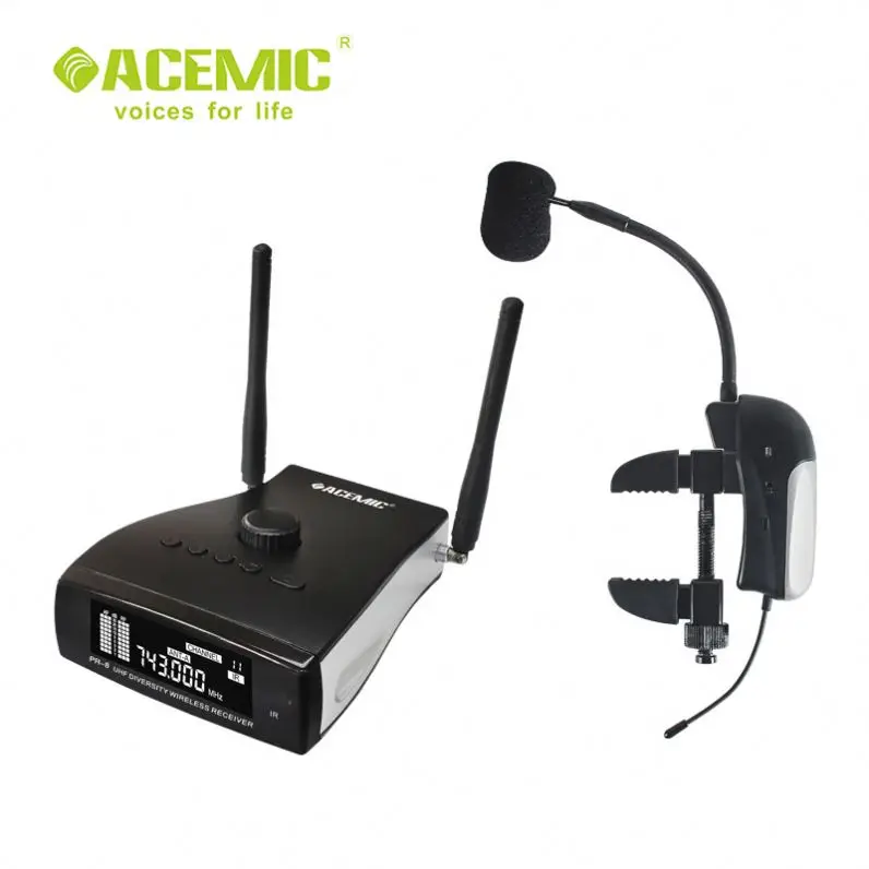 2026 ACEMIC Wireless Instrumen - Musical Instrument Guzheng review and price